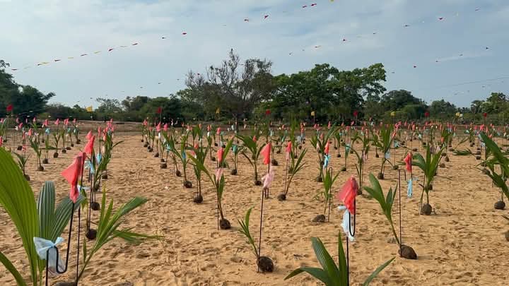 முள்ளிவாய்க்காலில் உணர்வெழுச்சியுடன் மீண்டெழும் தமிழர் தேசம் - படங்கள் இணைப்பு 11