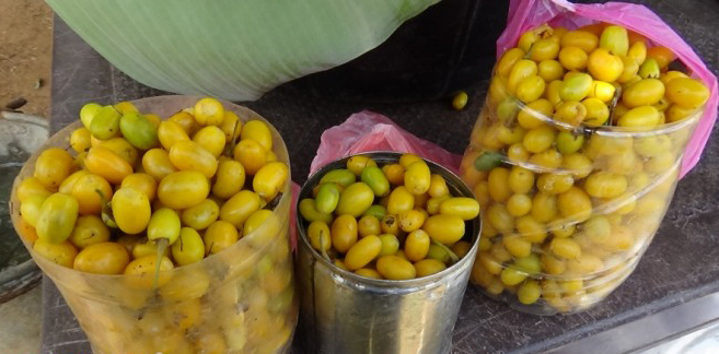 625.0.560.350.390.830.053.800.670.160.91